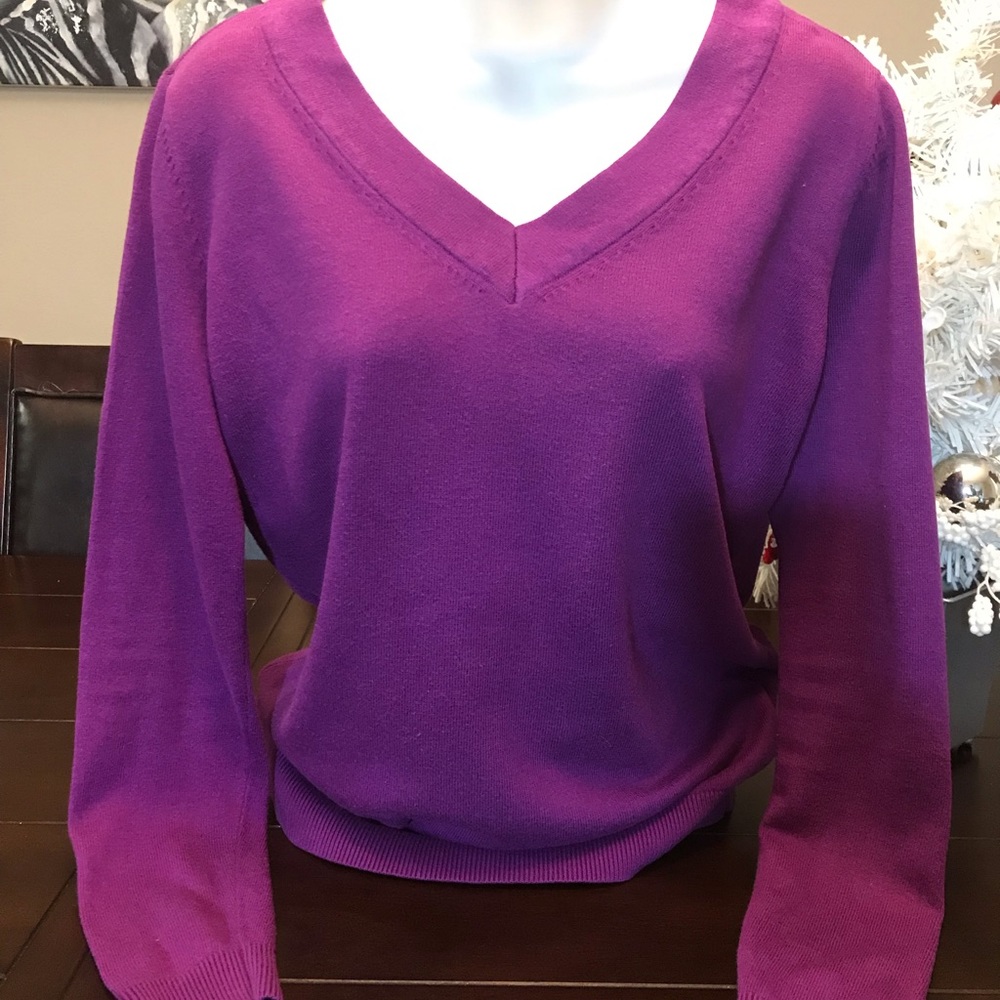 Purple Worthington V-neck Sweater!